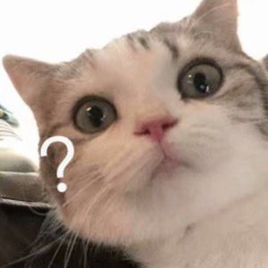 青青草国产97免费观看
