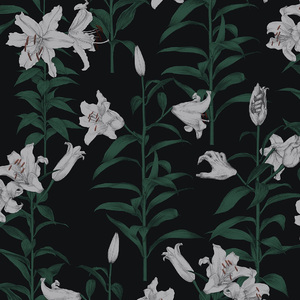 青青草国产97免费观看
